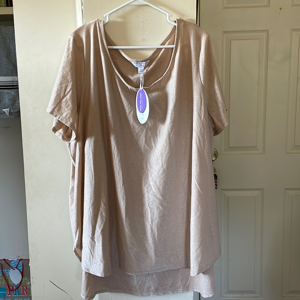 NWT 4X Ashley Nell Tipton Top